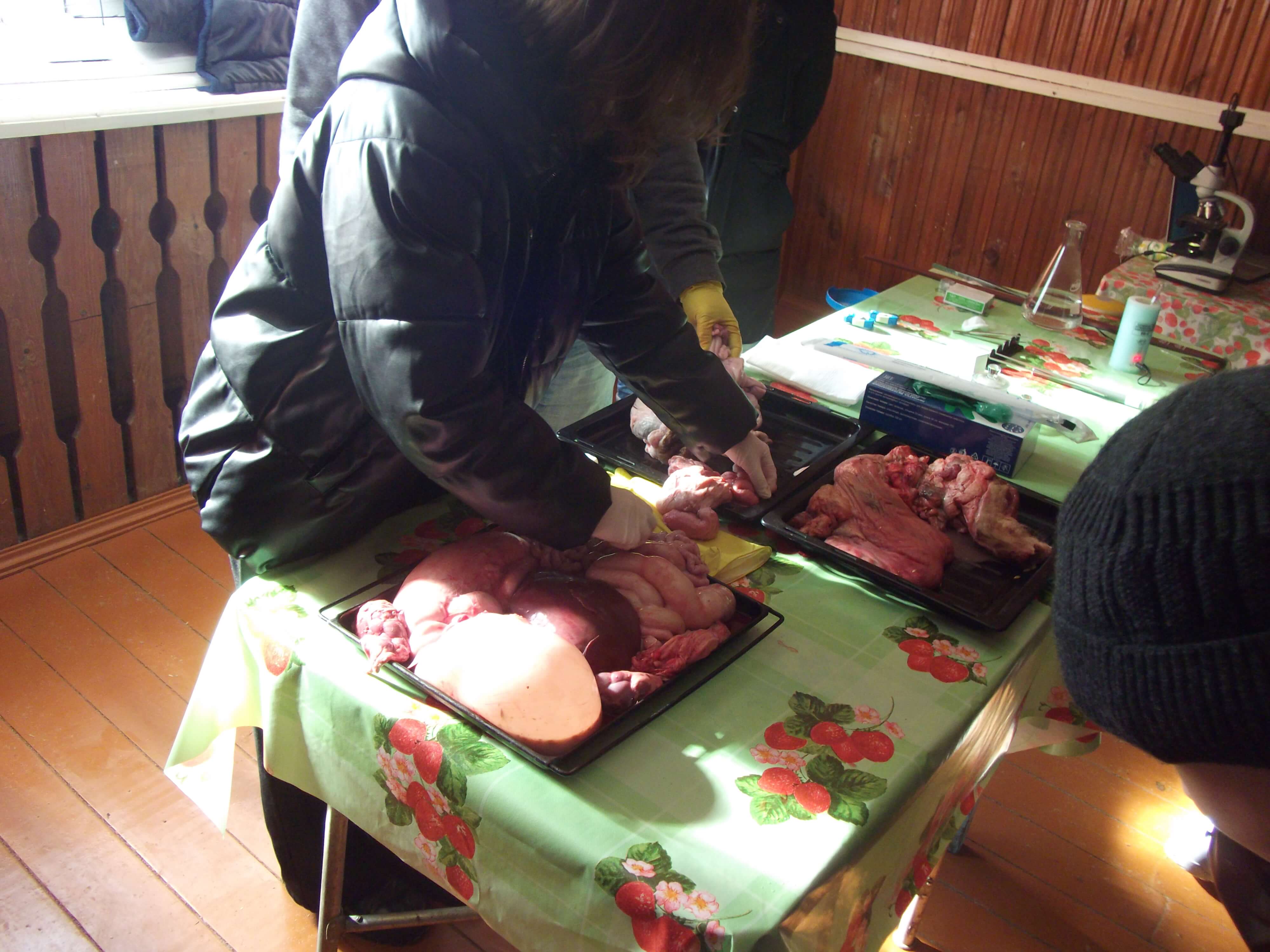 Миниатюра 2