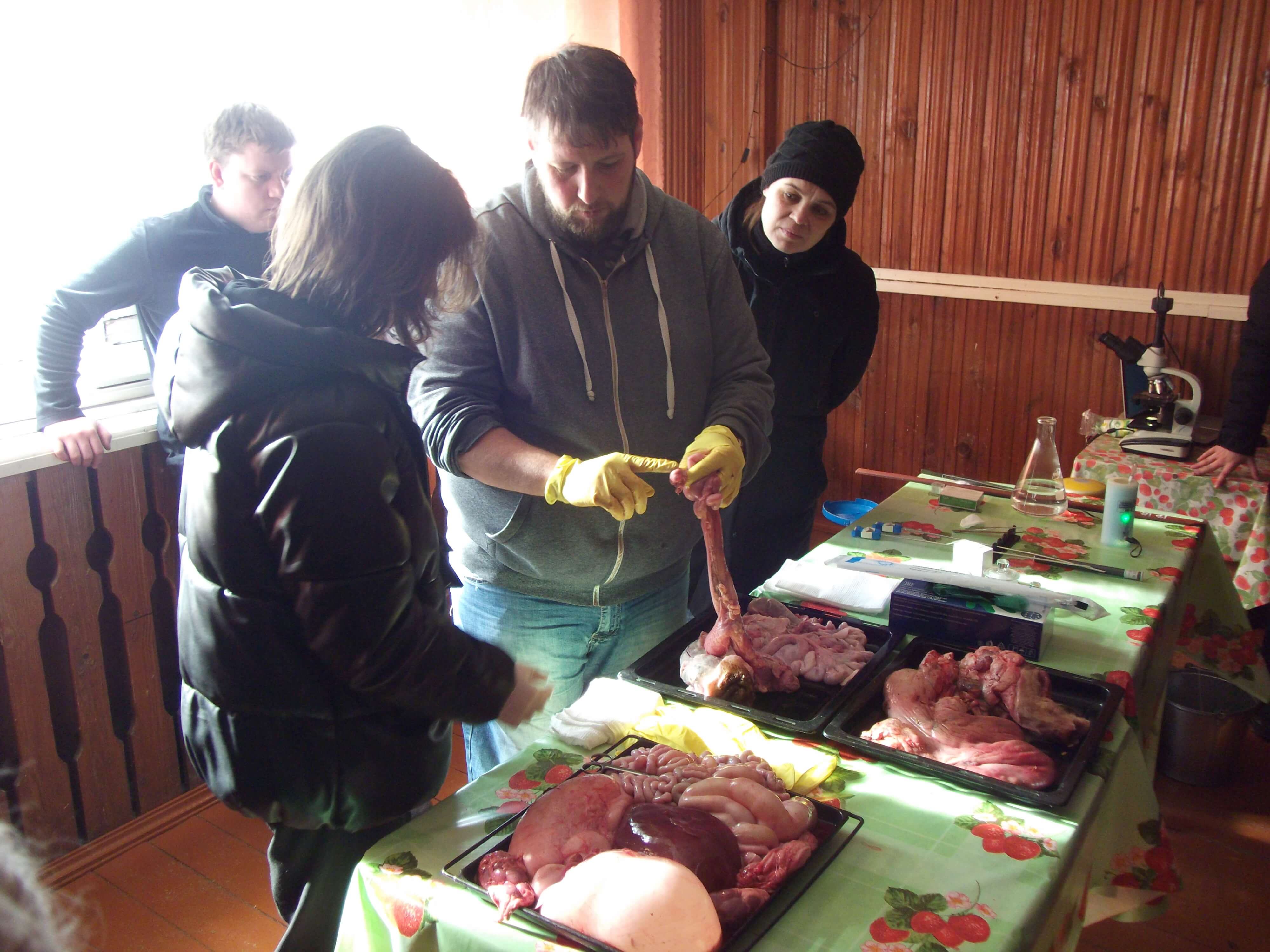 Миниатюра 3