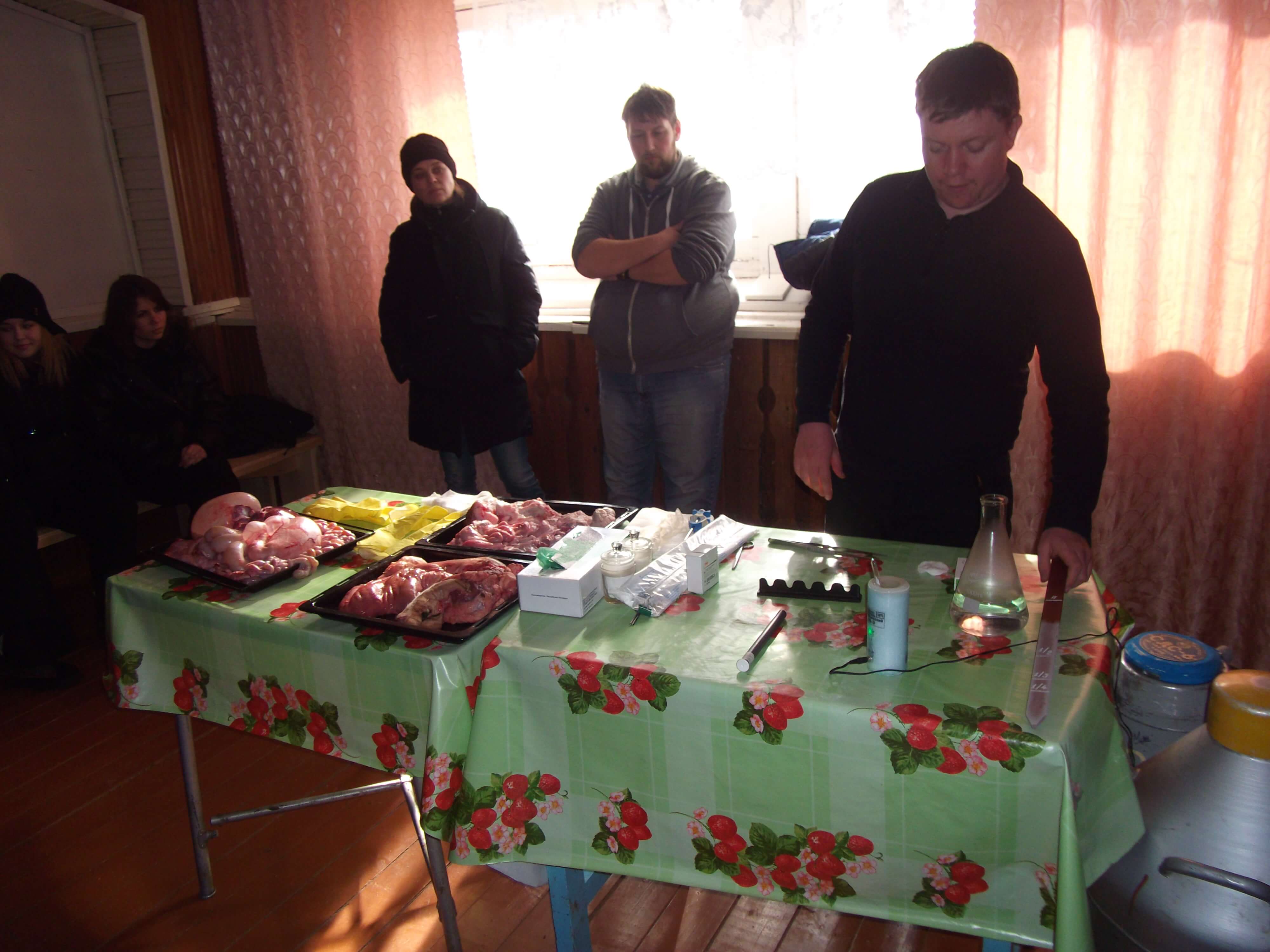 Миниатюра 6