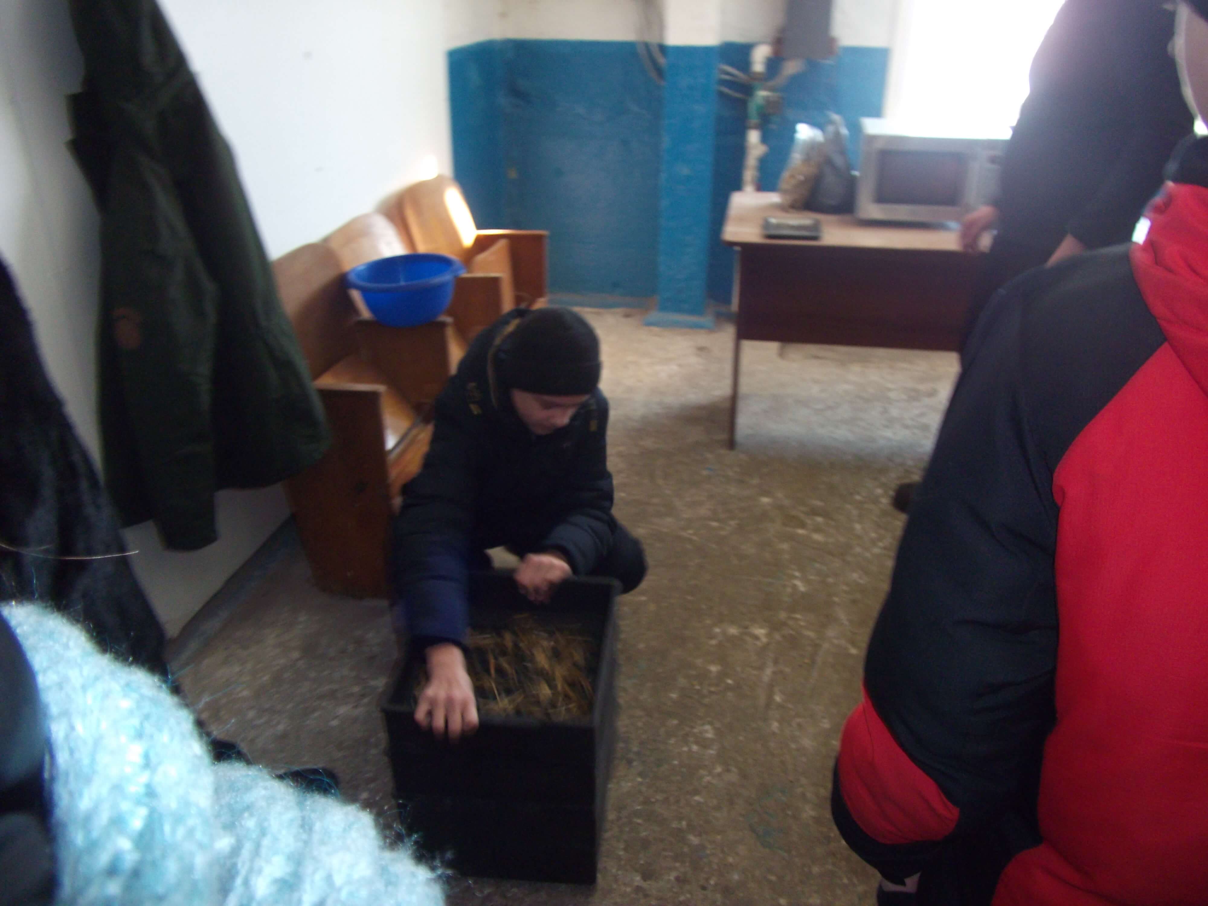 Миниатюра 9