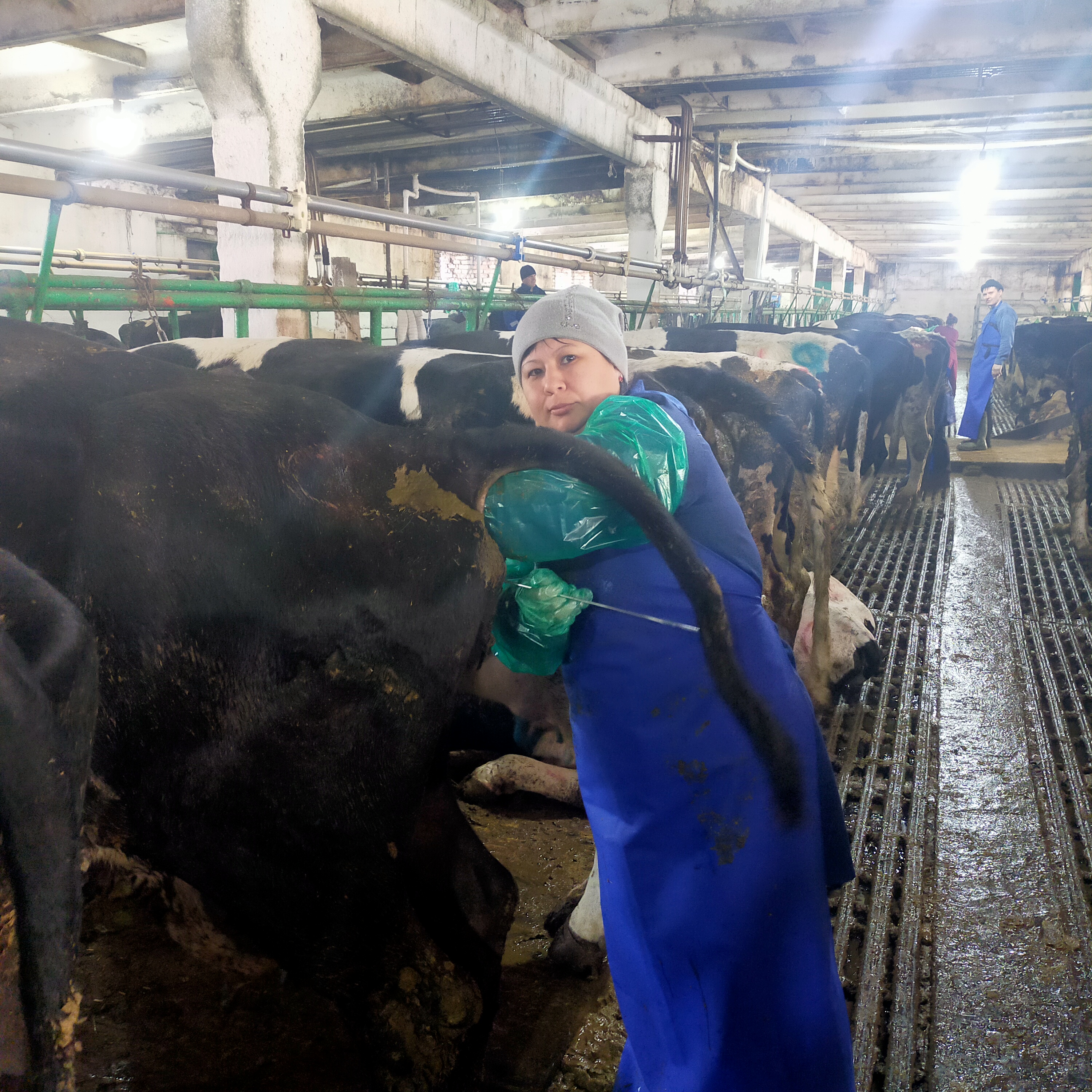 Миниатюра 5