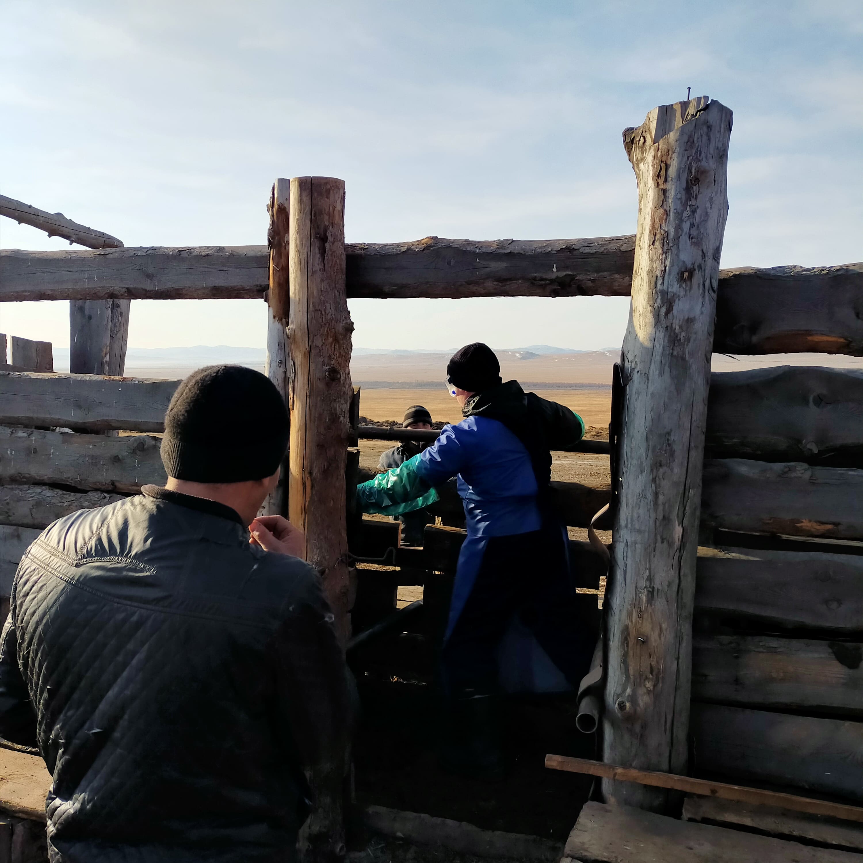 Миниатюра 2