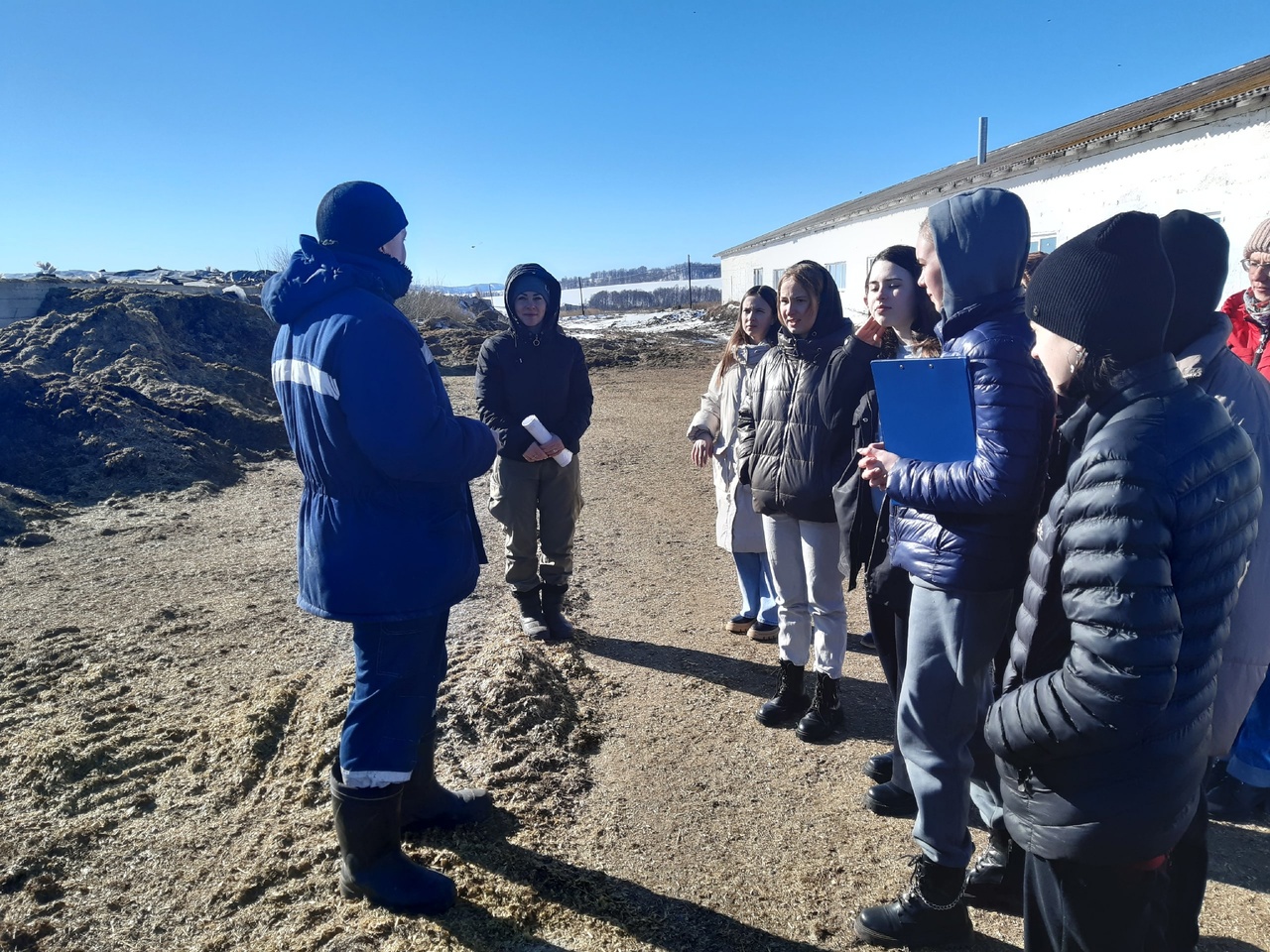 Миниатюра 3