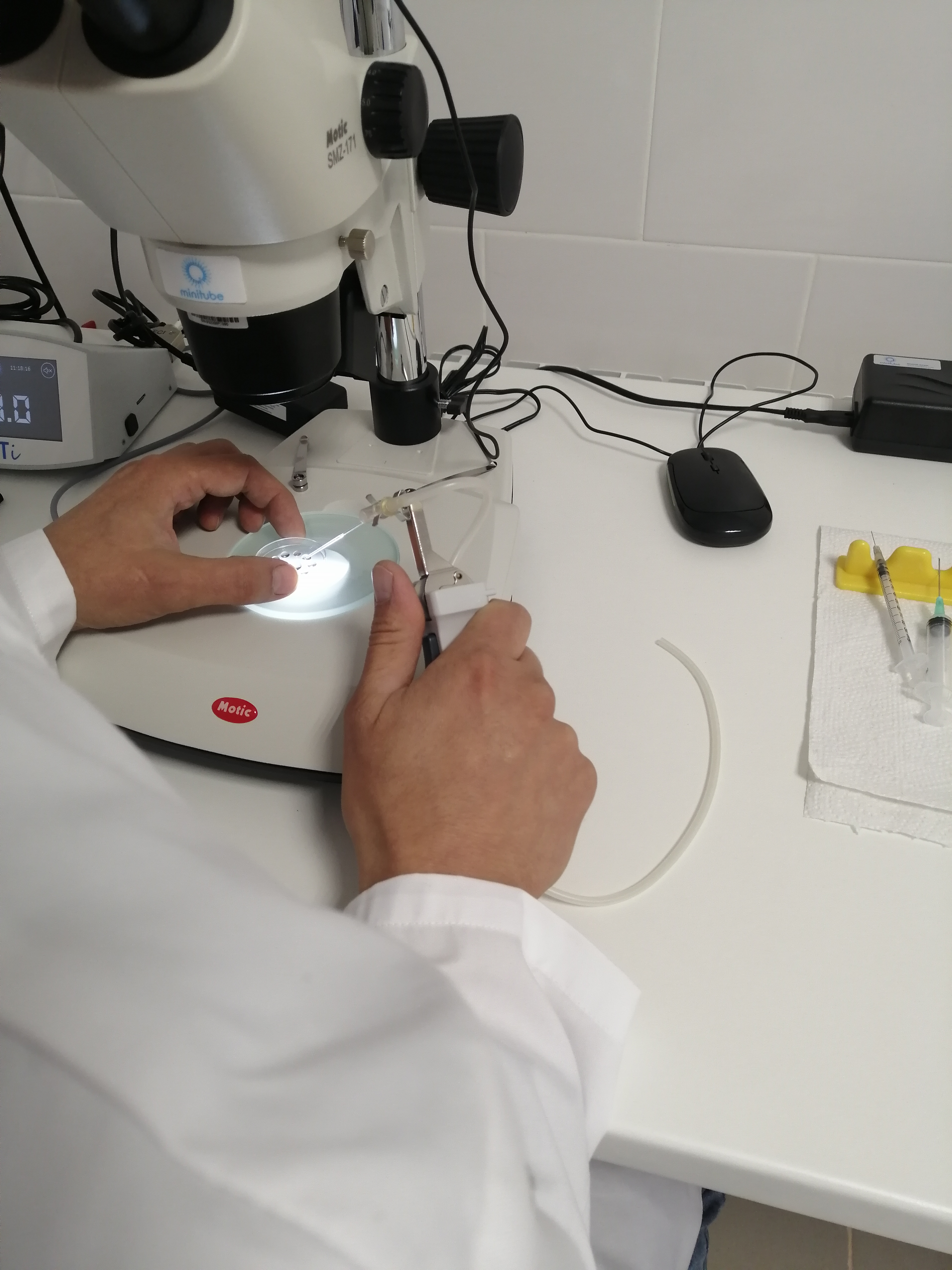 Эмбриологический центр - первые эмбрионы