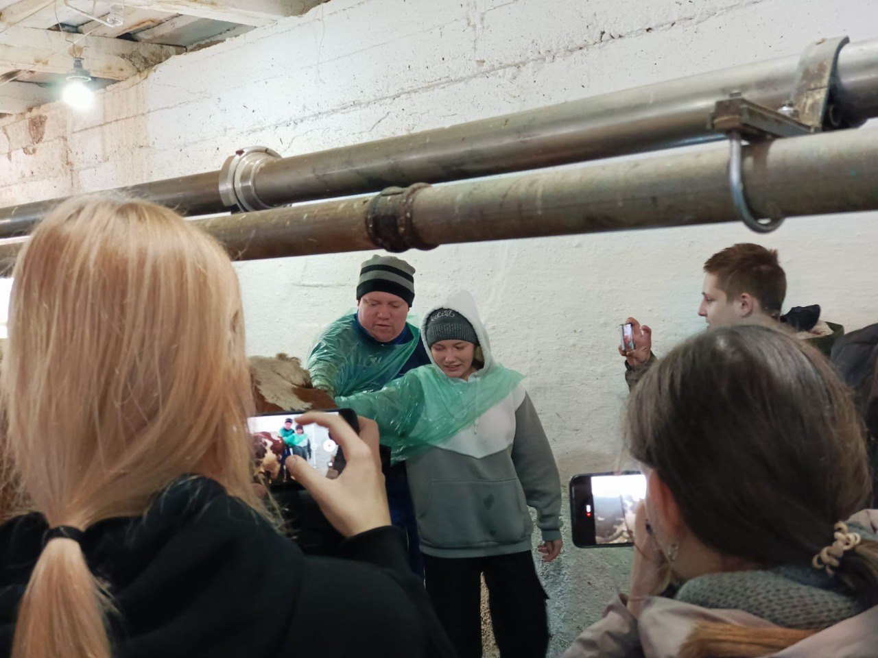 Миниатюра 5