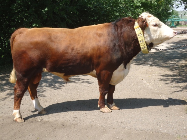 БАЙКАЛ 21013 АЛВ-241