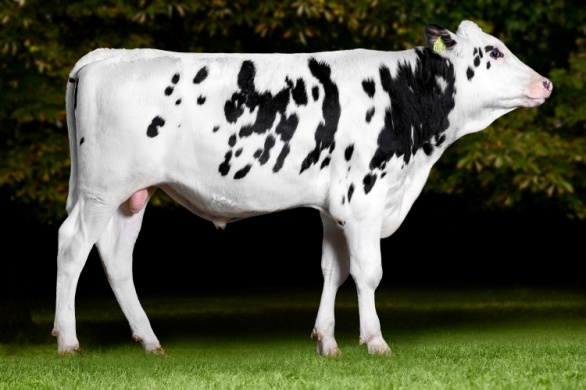 А-РЕСОЛ-М 813492794 ЕТ