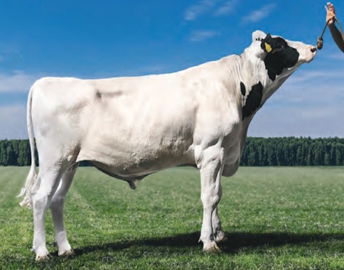 САММИТ-М 5206 ET