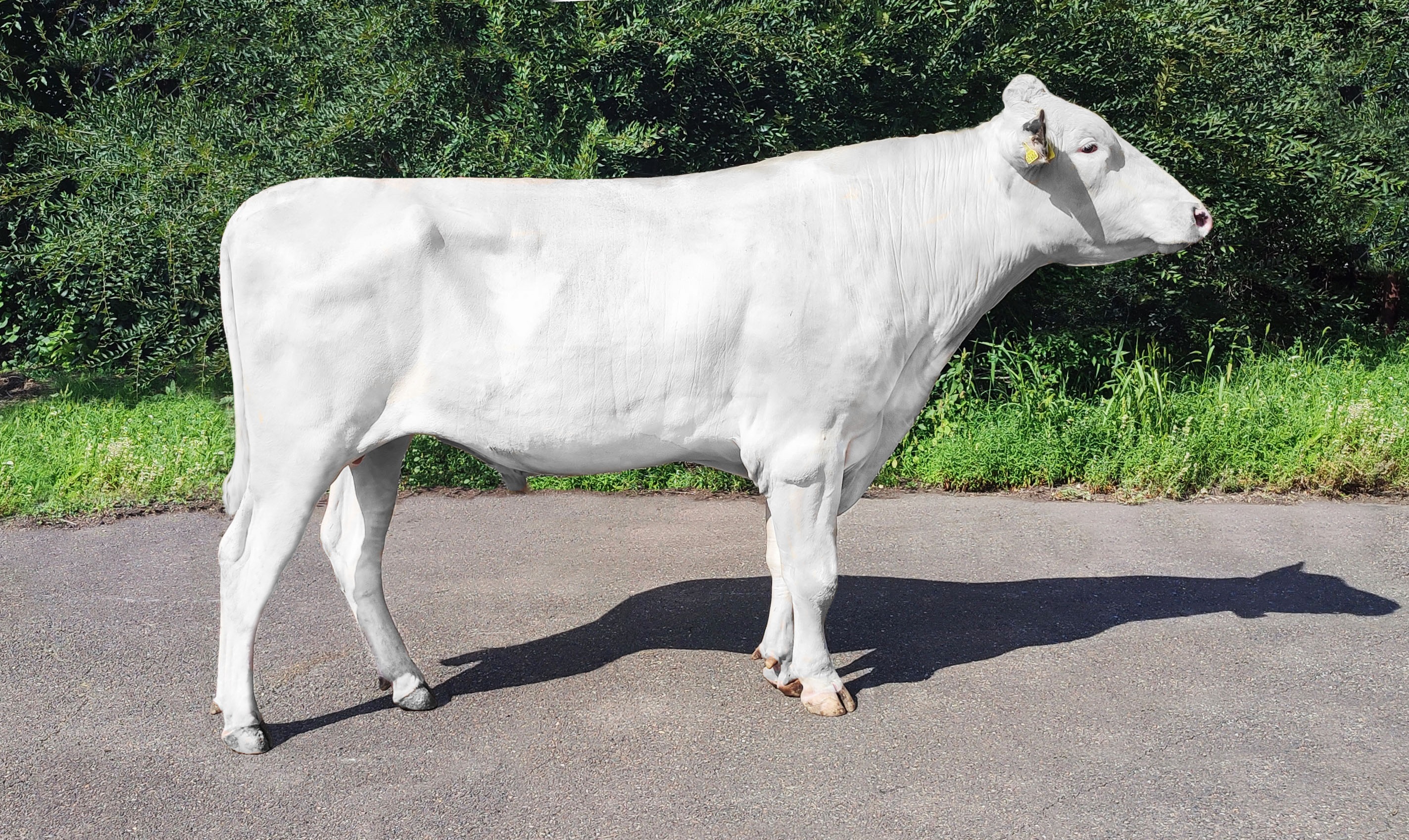 КАРАМЕЛЬ РЕД 2606 ET