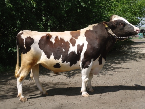 КВАРЦ 9086 КСГФ-197