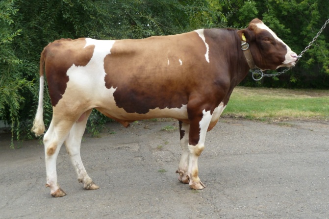 ДЖОЙ 79437 ET КСГФ-252