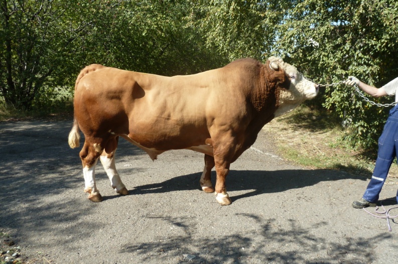 ЗАХАР 29905 АЛС-2259