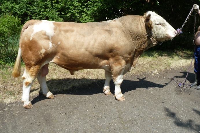 ВИЗИТ 42486 КСС-1591